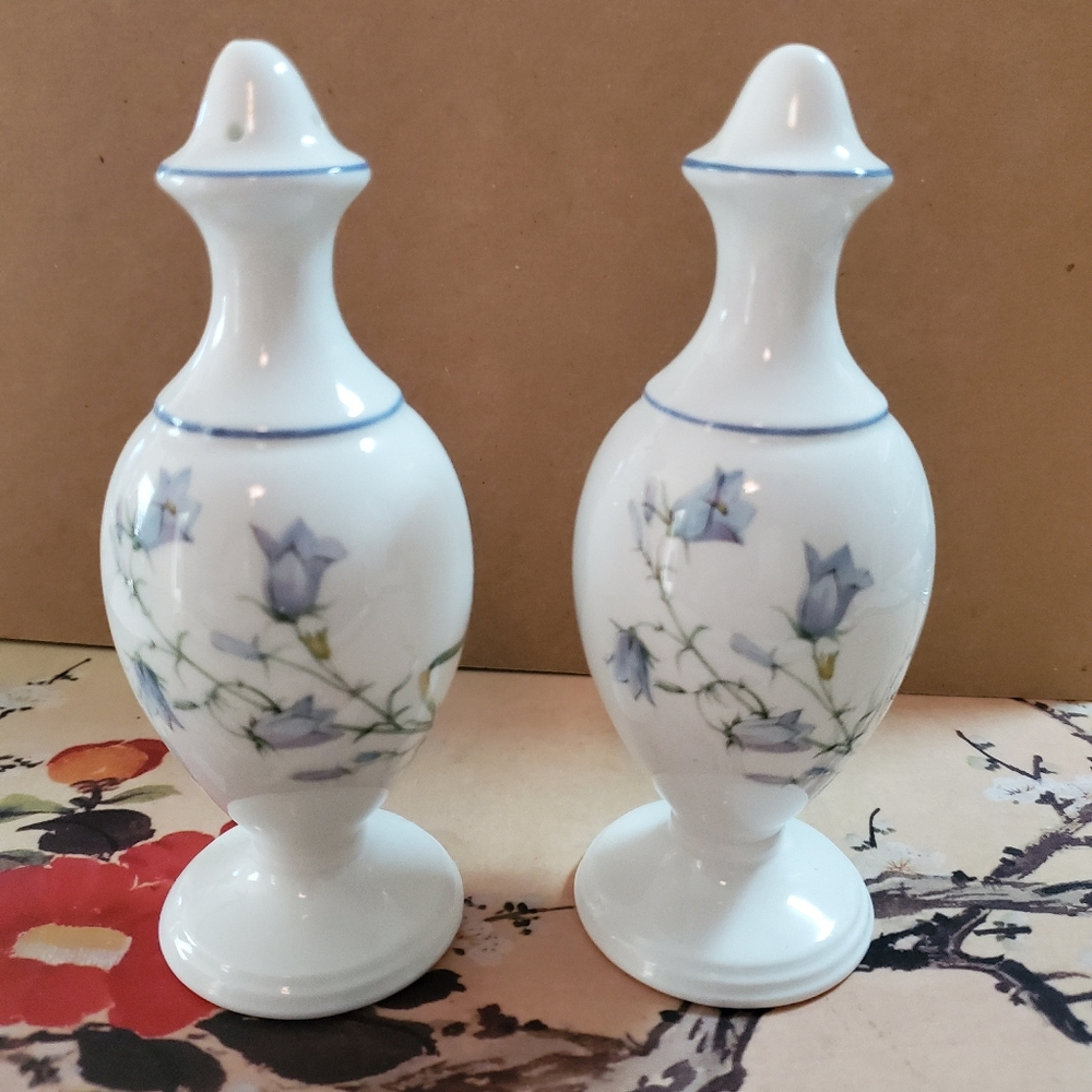 Vintage Fine Bone China Salt and Pepper shakers